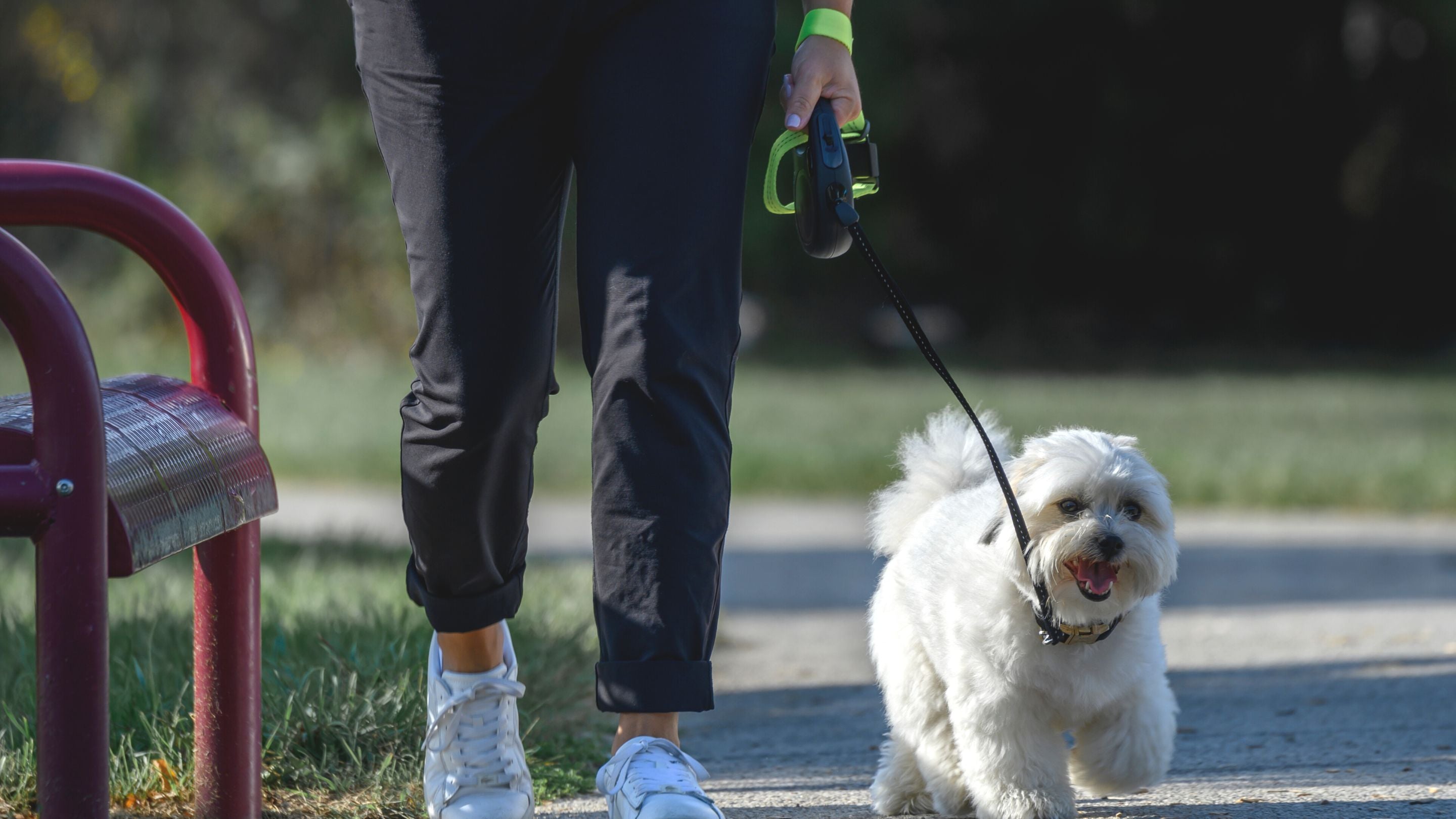 Leash Hero for every walk