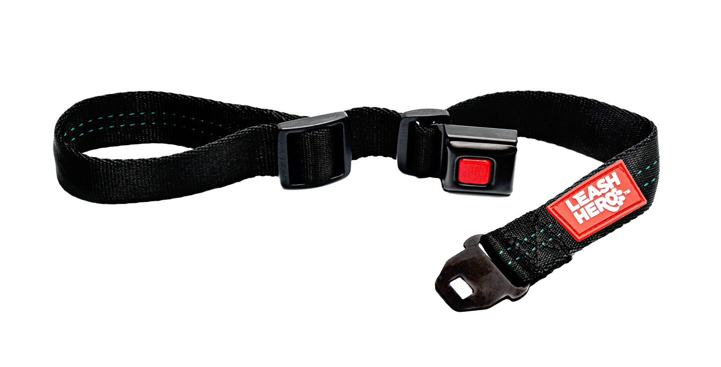 Black Leash Hero