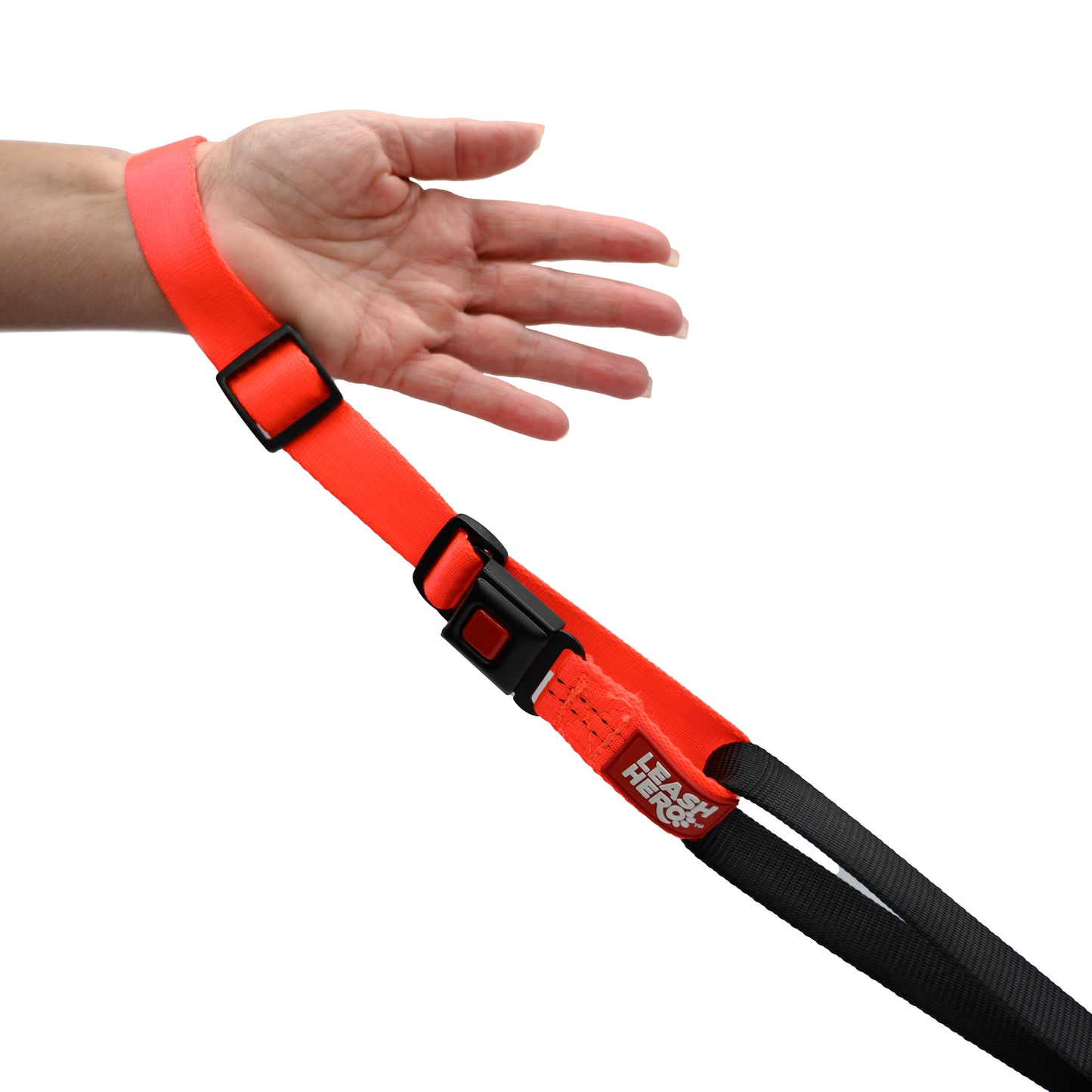 Orange Leash Hero