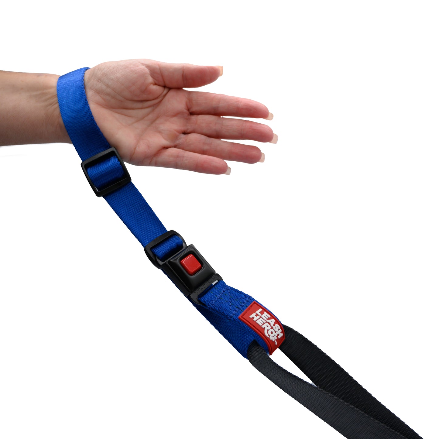 Blue Leash Hero